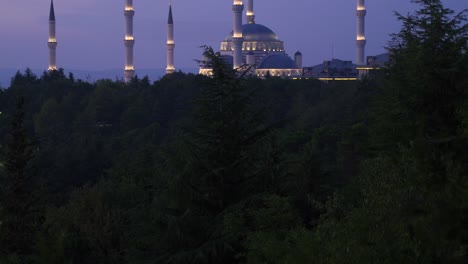 Moschee-Nachts-Beleuchtet.